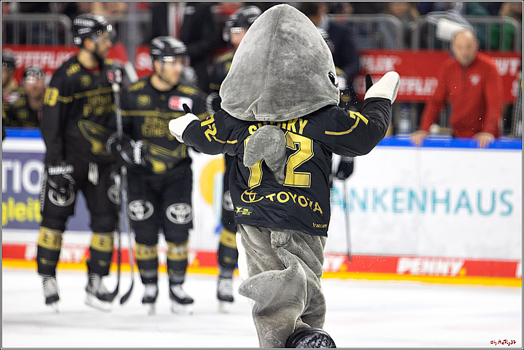 PENNY DEL;  Kölner Haie - ERC Ingolstadt; Köln, 25.11.2022